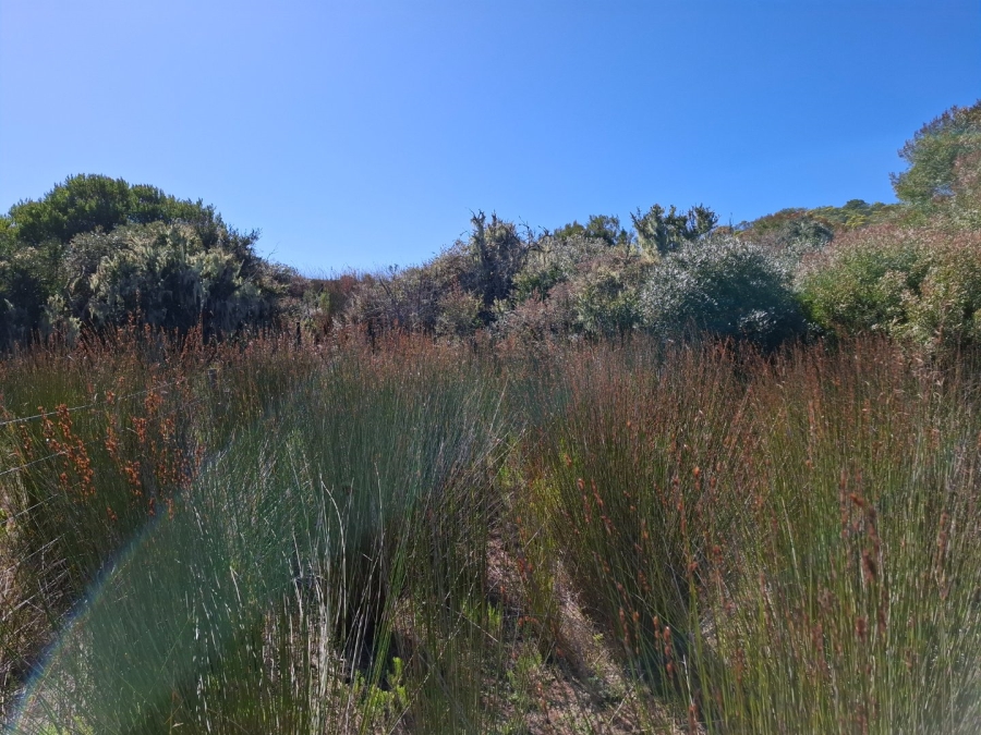 1 Bedroom Property for Sale in Riversdale Rural Western Cape